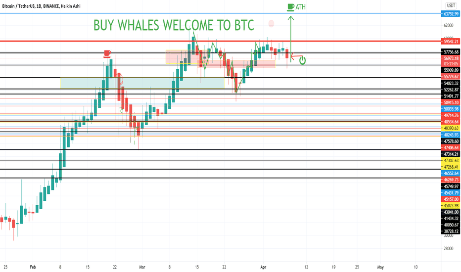 BUY WHALES SIGNALS ON BTC - BUY WHALES CAN BRING BTC TO ATH -
