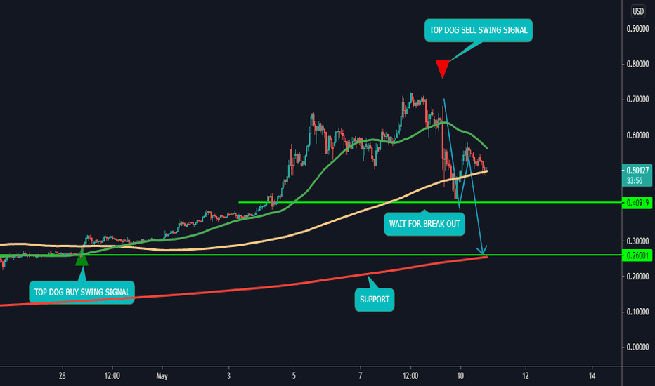 DOGE USD UPDATED