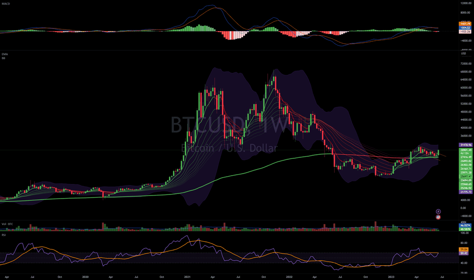 BTC: The new mature one in the group?