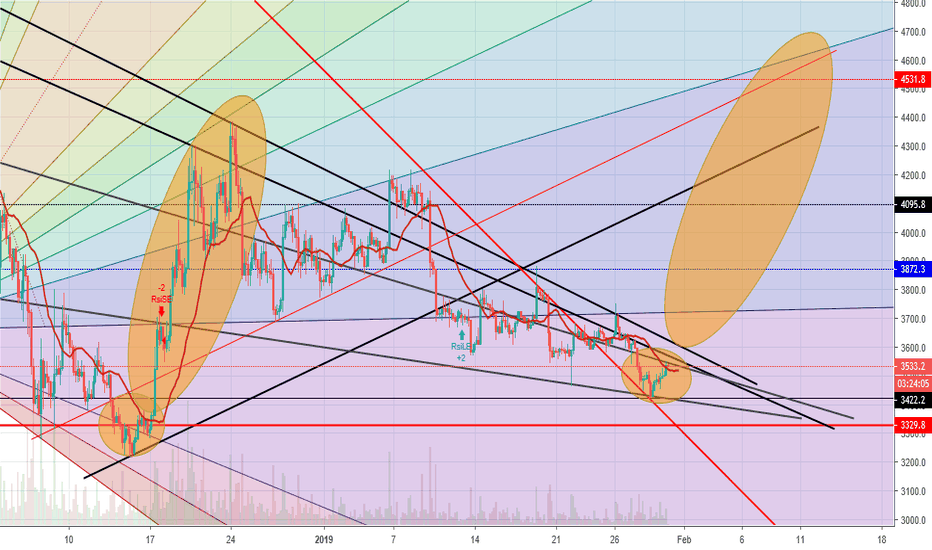 BITCOIN BULL RUN