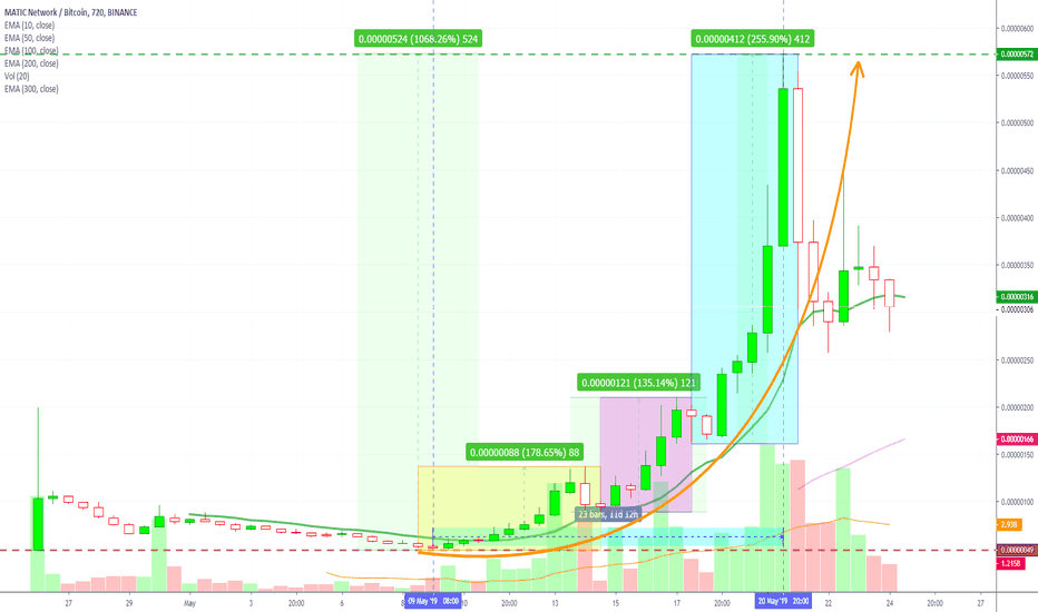 MATIC Network Perfect Bull Run Example (+1068% Profits Wave)