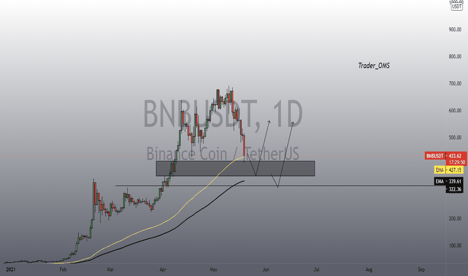 BNB rocket into space