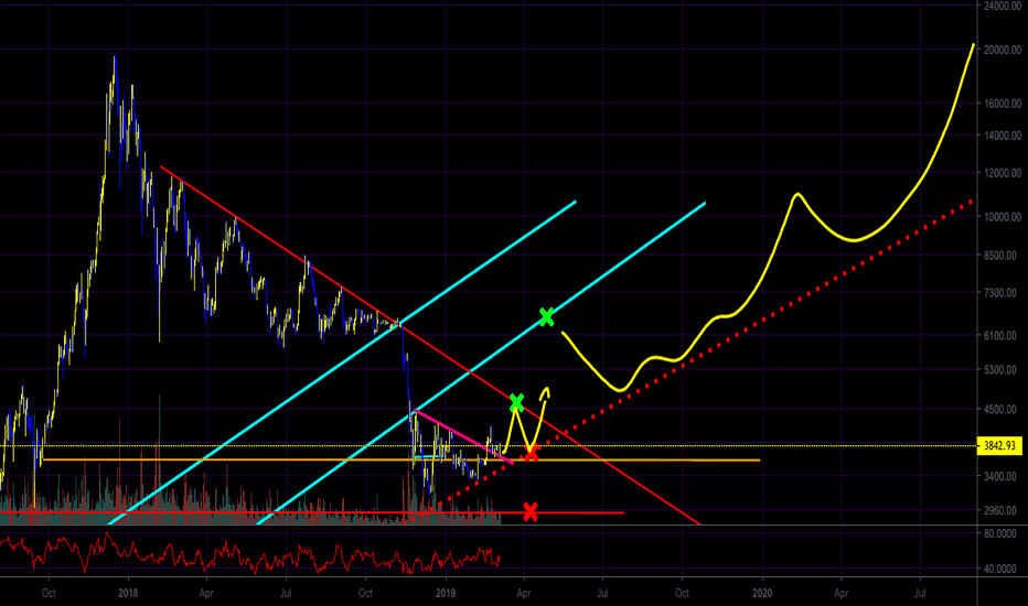 IF The Bear Market is Over, Where We Might Be Headed (BTC)