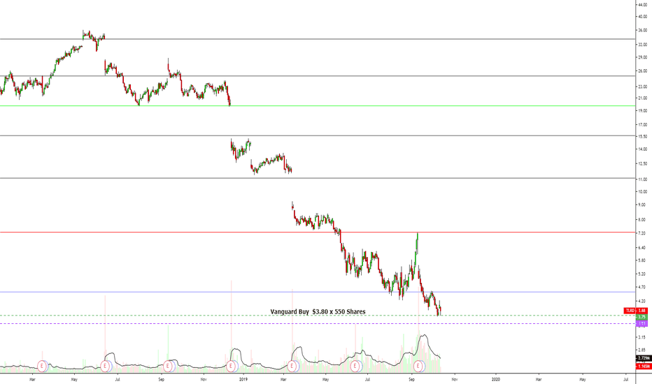TLRD Daily