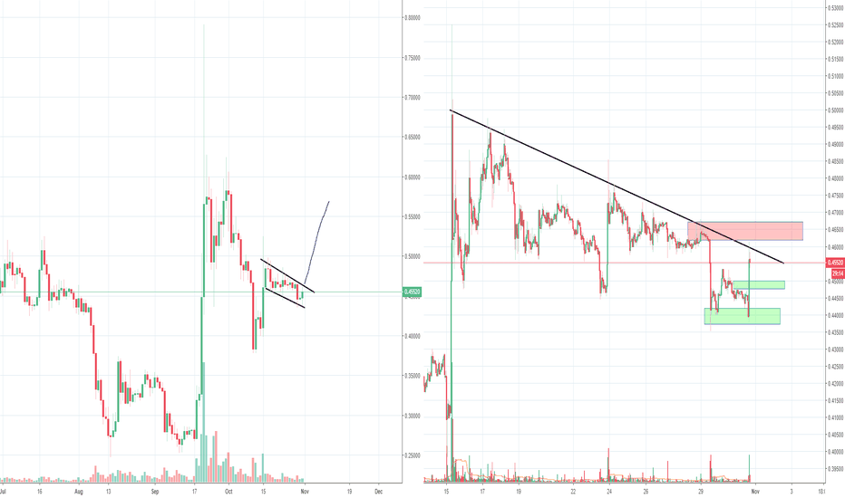 XRP Ripple at a turning point
