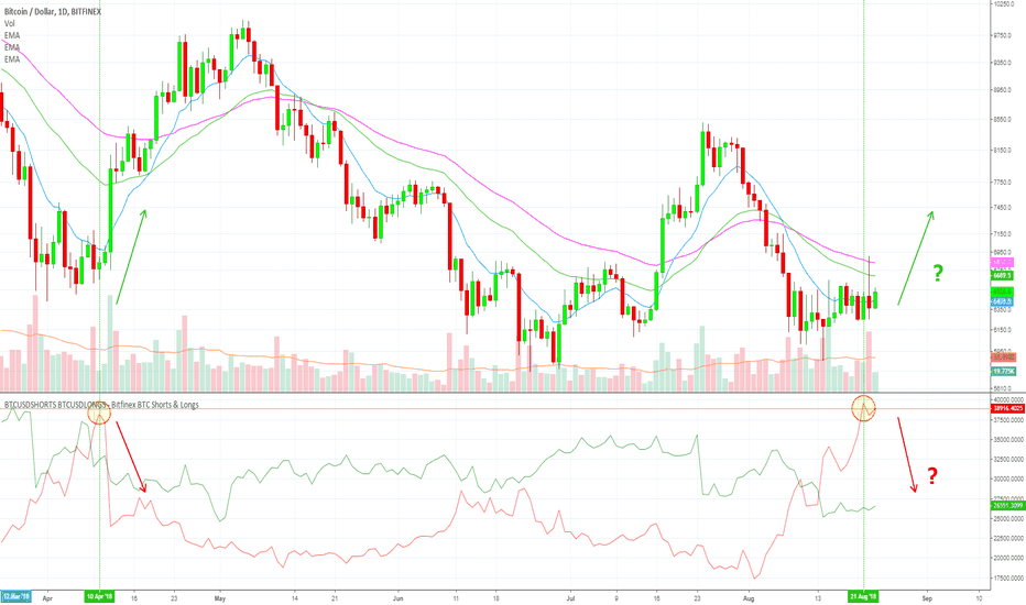 Bitcoin SHORTS at All Time High: Squeeze coming? ($5000 x BTC??)