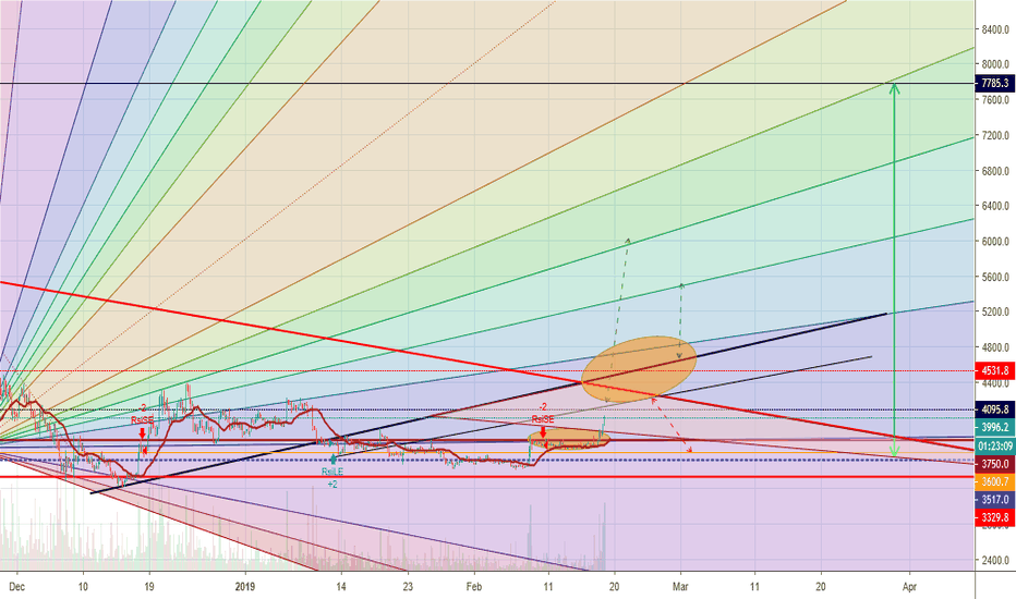 BITCOIN BULL RUN UPdate 4.0