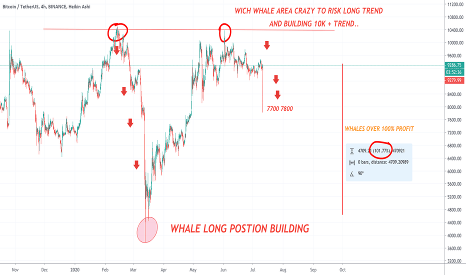 WICH WHALE ARE CRAZY TO RISK LONG TREND AND BUILD FROM 10K + ..