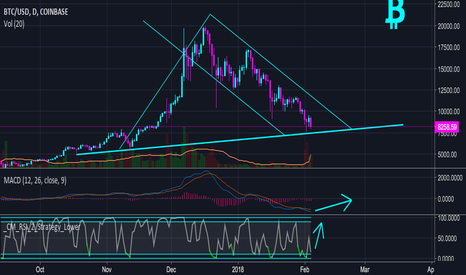 Bitcoin Update Feb 4