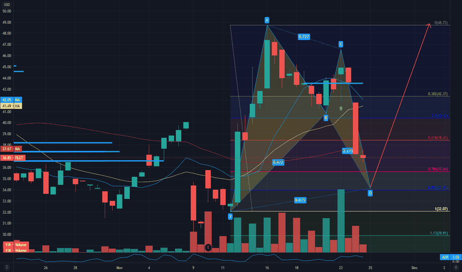 Bat Pattern FLGT