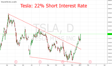 Tesla: 22 % Short Interest Rates