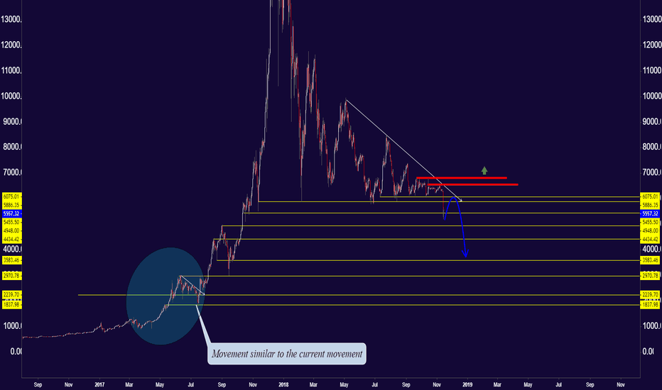 #BTC VIP Updates