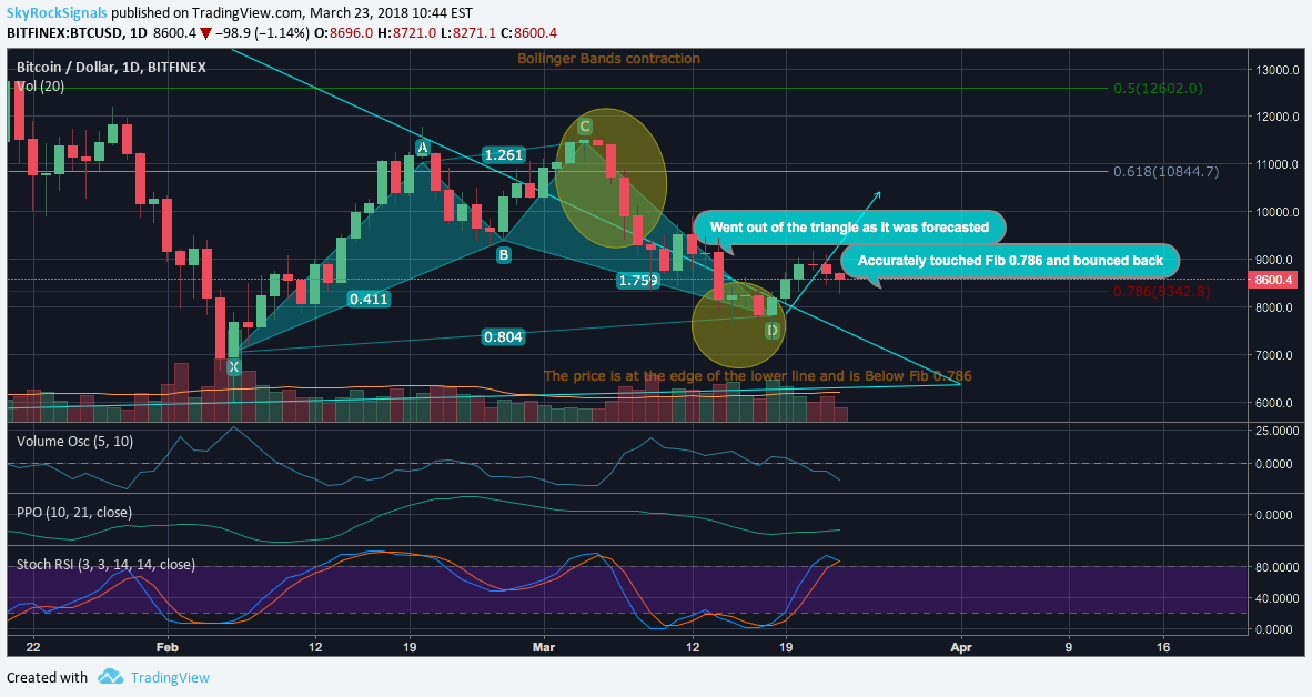 BITFINEX:BTCUSD Idea Chart Image by Skyrexio