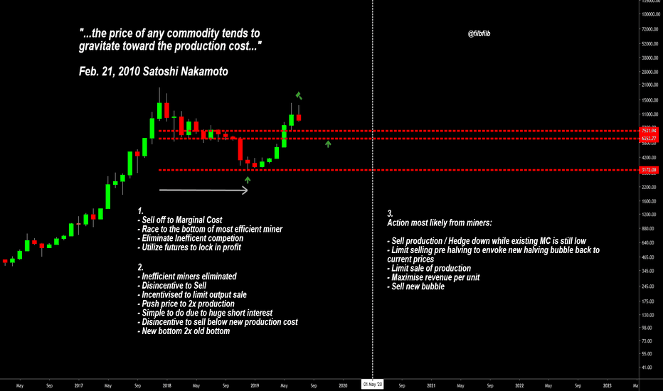 The Economics of the Bitcoin Cycles 