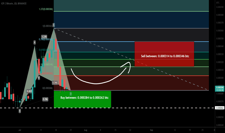 Internet Computer (ICP) forme bullish Cypher for upto 32% pump