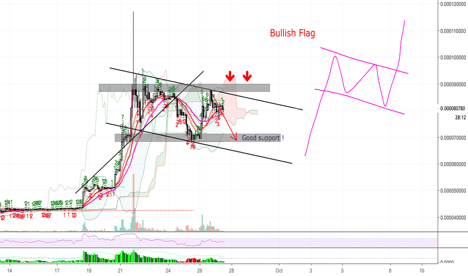 XRPBTC 2H - Bullish Flag
