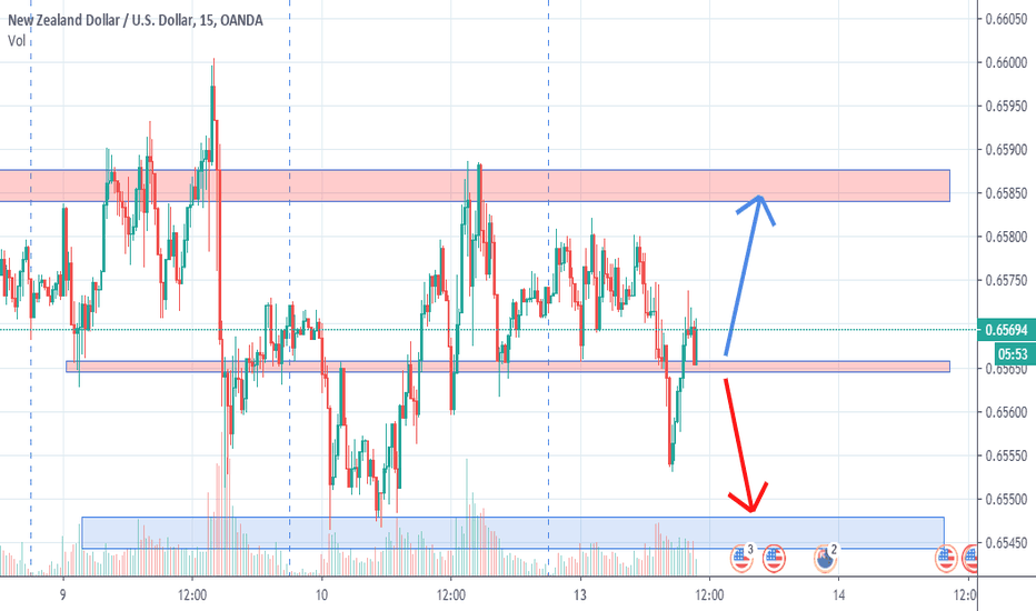 nzd 13