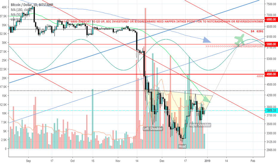 inverted Head & shouders Daily