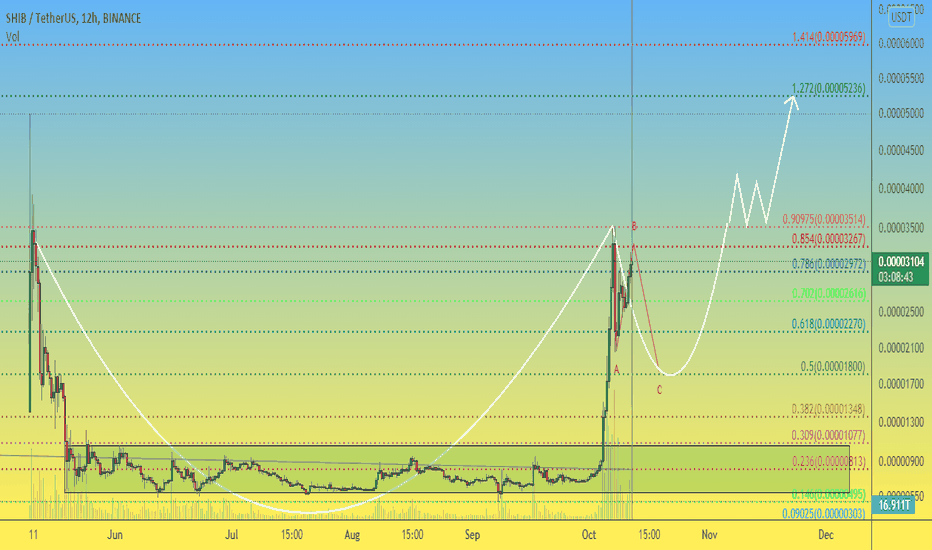Beware, Shib manipulative coin that technically walks