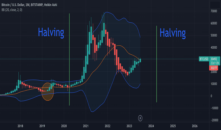 Price action within this halving 