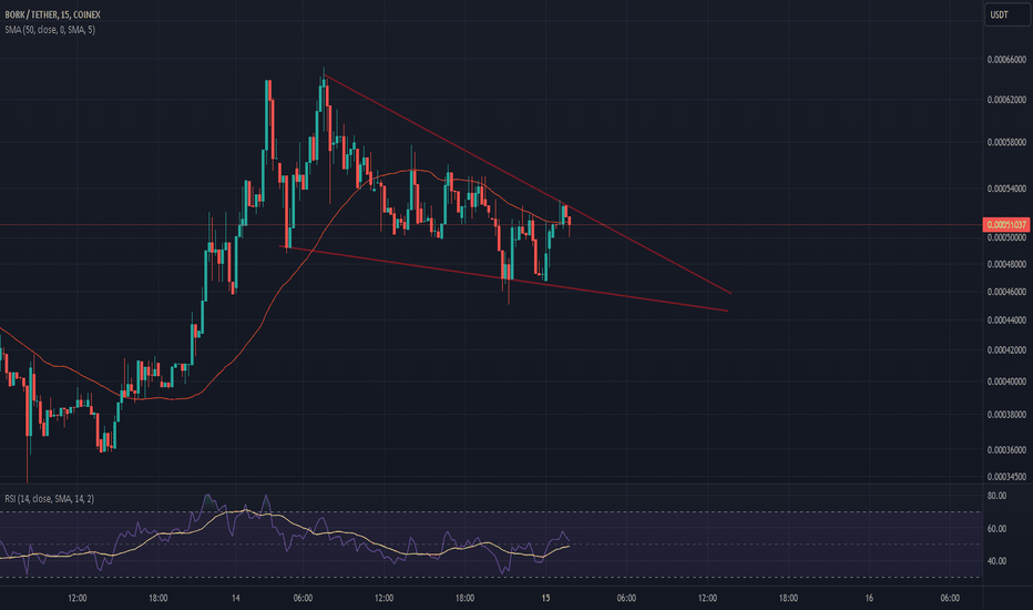Bork 1st listing on coinex = Bork it! The Bonk Killer