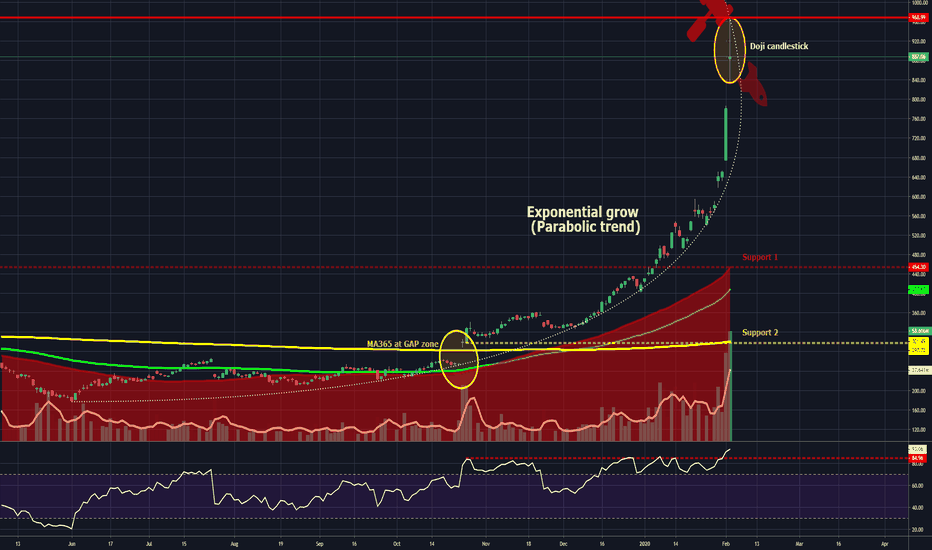Tesla, time to sell the bags ?