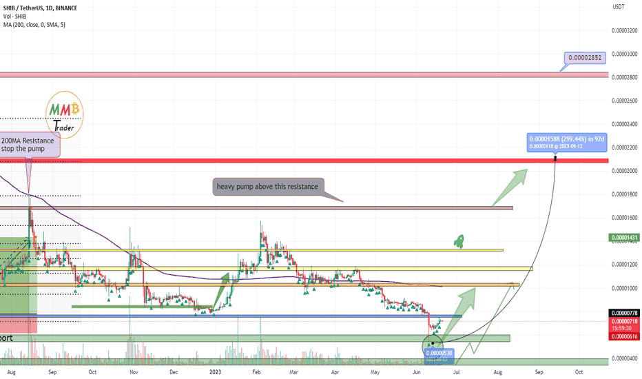 SHIBUSDT wait for +300% pump