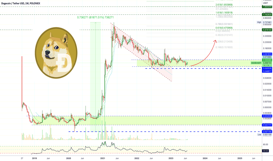 ✴️ Dogecoin, The Bigger Picture (Grew 61,871% 2020-2021)