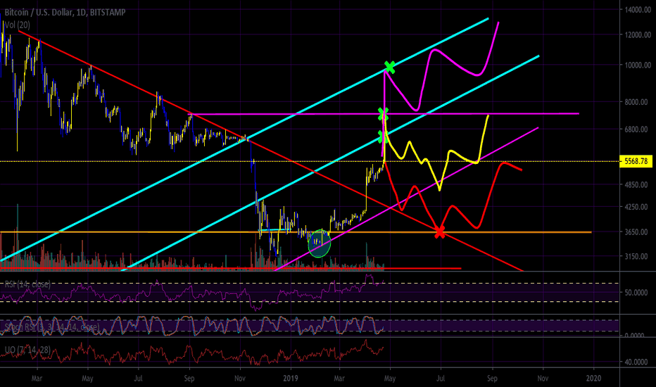 What's Up, Bitcoin?