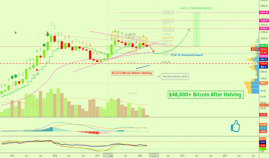 Bitcoin Monthly | Before ($5K) & After Halving ($31K) 2020