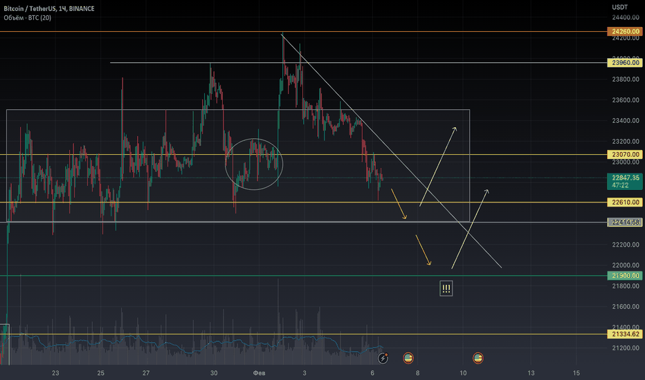 Bitcoin коррекционная неделя