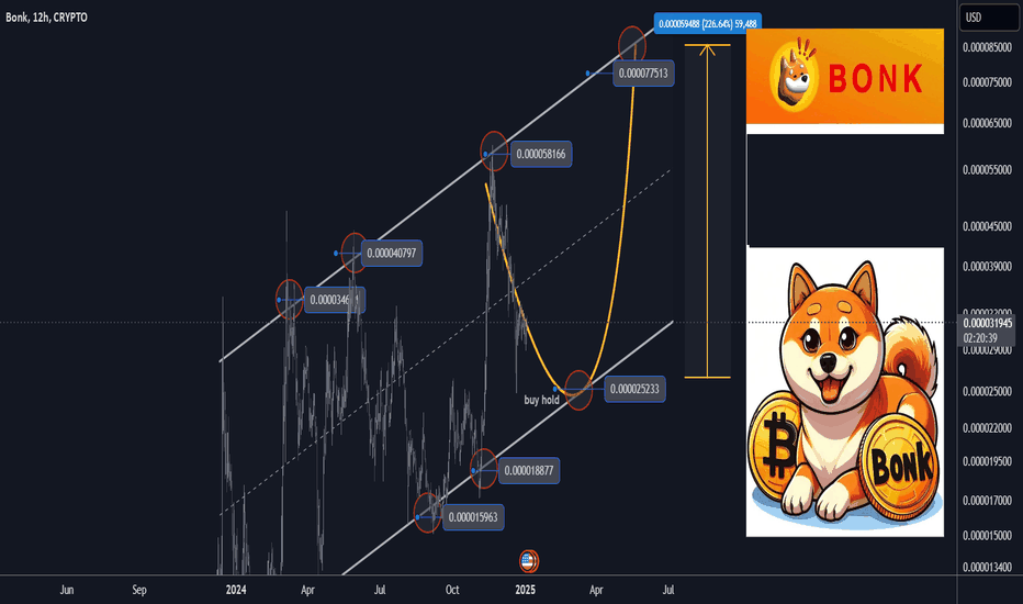 BONK Best Level to BUY/HOLD 300% gains