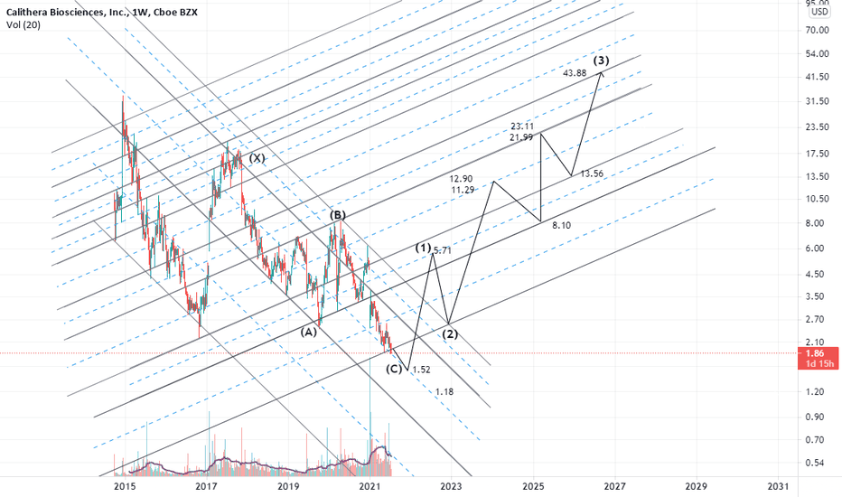 cypher or shark reversal