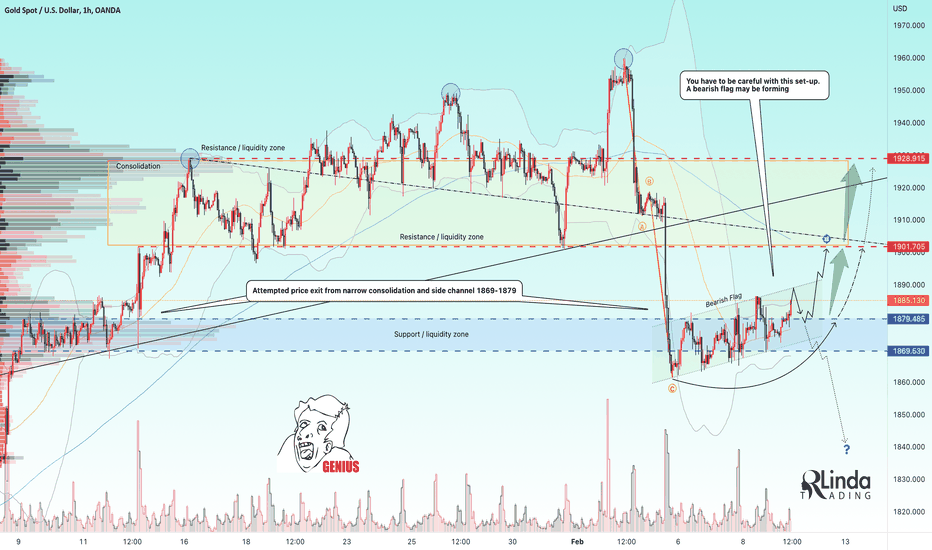 RLinda ! GOLD-> The formation of the bear flag, or...