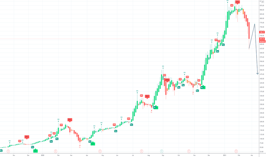 TSLA Tesla why the stock is down