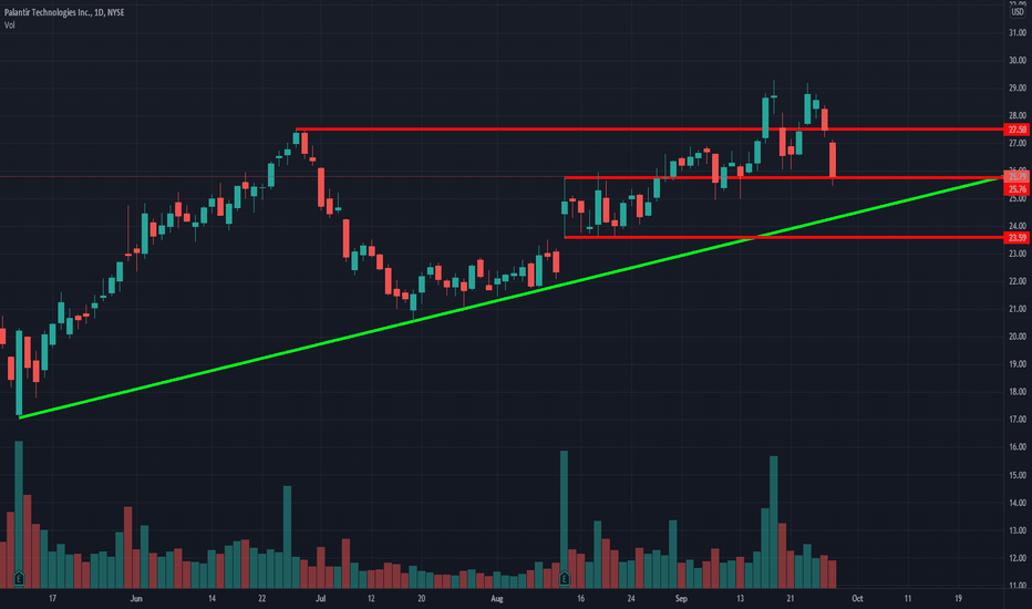 What are the support levels for Palantir?