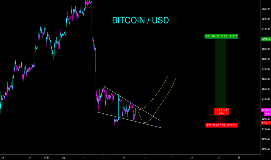 BITCOIN IN GOOD ODDS FOR MINI BULL - CryptoManiac101