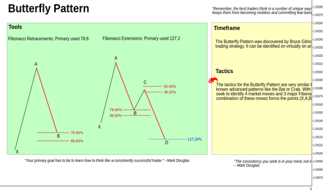 Butterfly Pattern // Engagement Rules // Educational ®