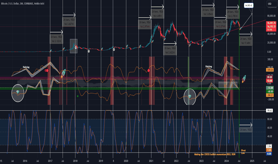 Star of the SHOW: STOCHASTIC RSI (6month cycle)