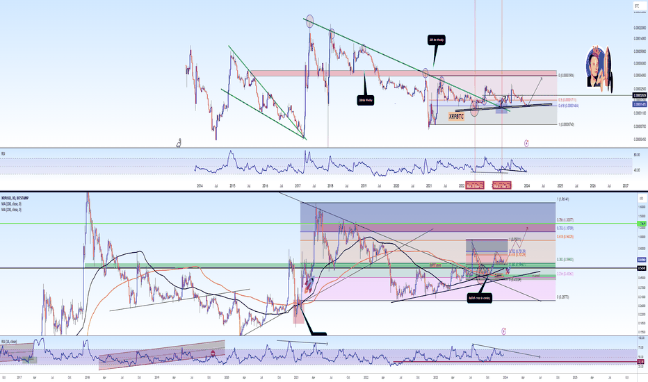 xRP UPDATE