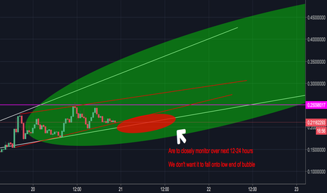 Update: Bitcoin Cash December 20
