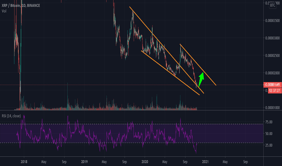 XRP at the bottom is an understatement