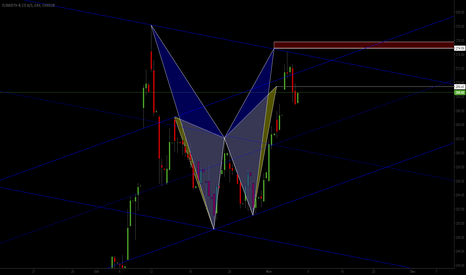 FLS short