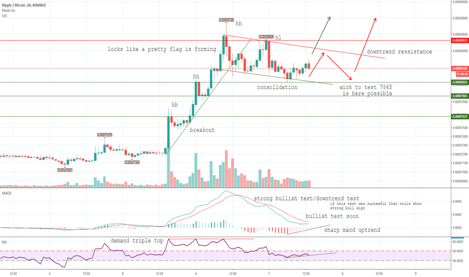 Ripple in a Flag is about to see a new Higher High soon!