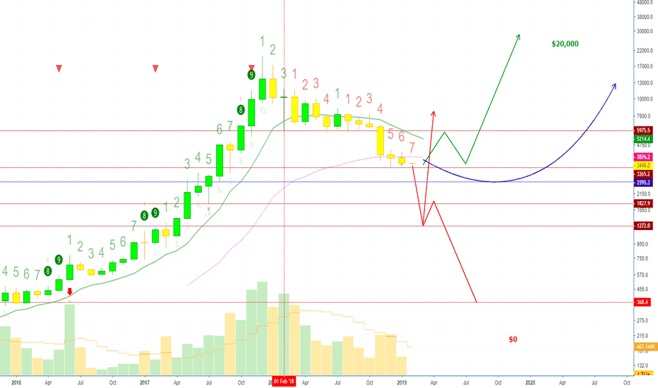 Bitcoin's Final Crash or Ultra Moon Pump Ahead?