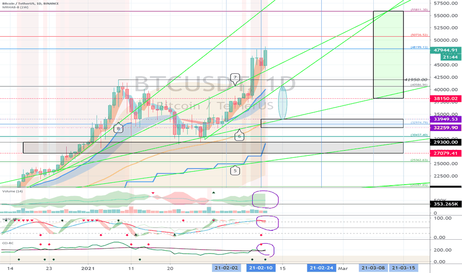 Bitcoin (BTC) - February 12 (USDT Dominance Check)