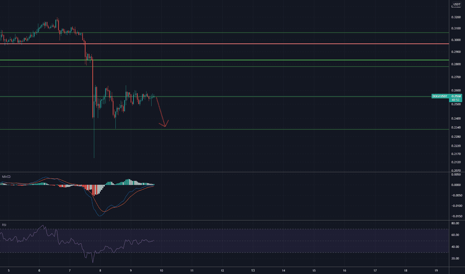 Sad but Inevitable DOGE and BITCOIN road !