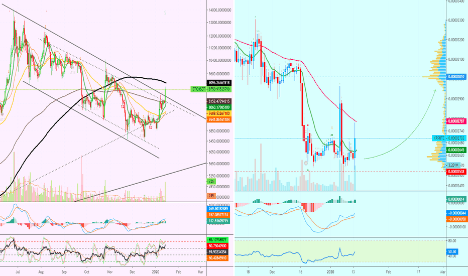 Unusual Bullish Signal For The Crypto-Markets, Bitcoin vs Ripple