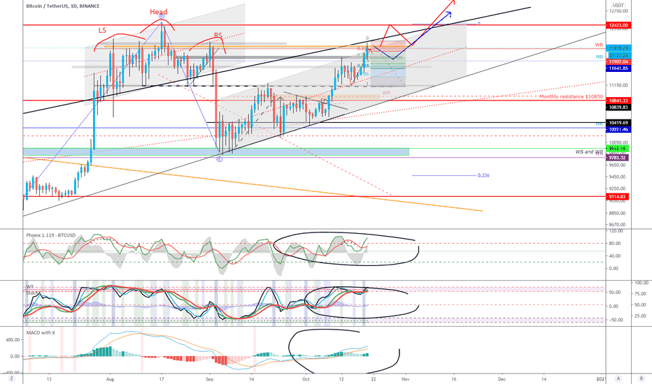 BTC (Y20-P4.E13).Macro.Bullish