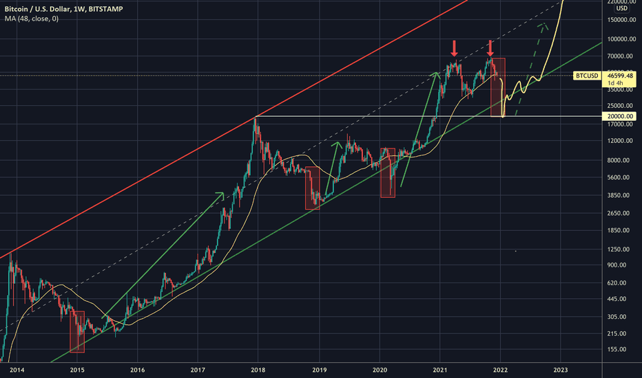 BTC drops to 20k before rises to 100k and above